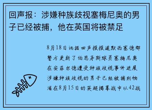 回声报：涉嫌种族歧视塞梅尼奥的男子已经被捕，他在英国将被禁足